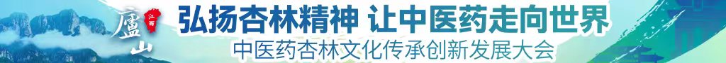 WWW点操逼网站中医药杏林文化传承创新发展大会